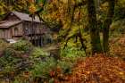 Historic grist mill over Cedar Creek in Woodland, Washington State, USA Art Print